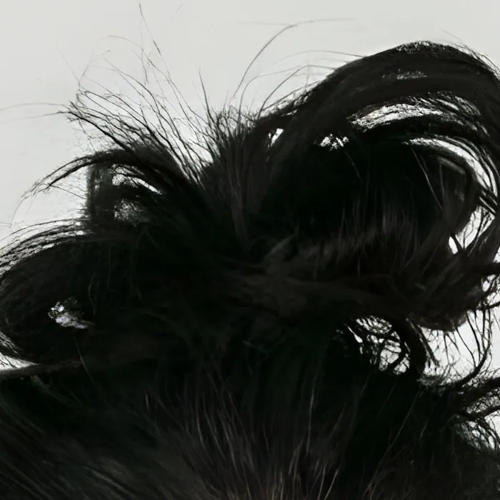 The same photo enlarged 4 times by Enhance Image, individual hairs sharp